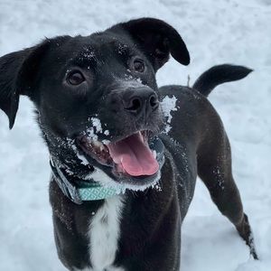 Meet your Posher, Megan